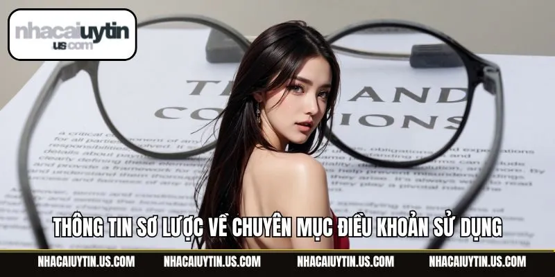 Thông tin sơ lược về chuyên mục điều khoản sử dụng