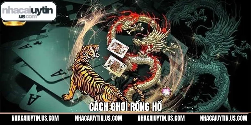 Cách Chơi Rồng Hổ Dễ Hiểu Và Hiệu Quả Cho Người Mới 2025