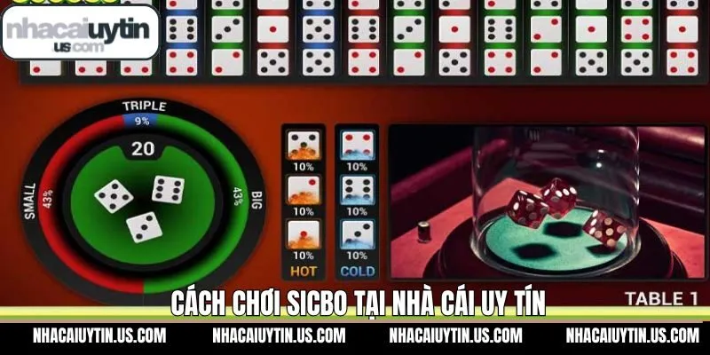 Hướng dẫn tham gia Sicbo trên hệ thống đơn giản và siêu tốc