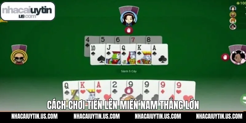 Bật mí chiến thuật đánh bài tiến lên từ Nhacaiuytin