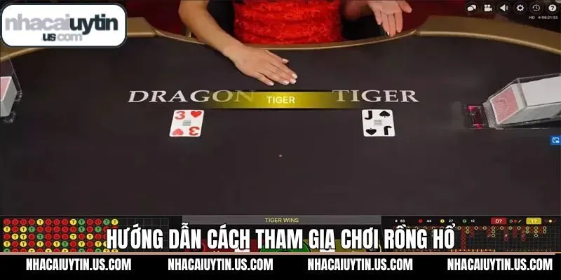 Tìm hiểu cách chơi rồng hổ thông qua các bước tham gia đơn giản