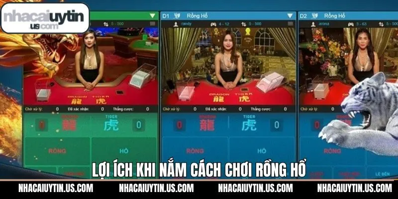 Hiểu rõ cách chơi rồng hổ đem lại nhiều ưu thế cho người chơi