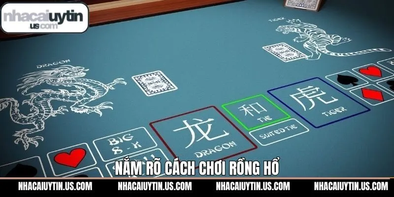 Hướng dẫn luật chơi và các loại cược phổ biến của rồng hổ