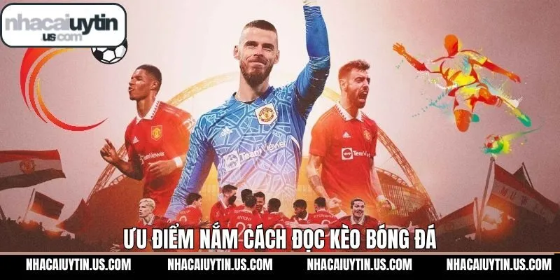 Lý do cần hiểu rõ cách đọc kèo bóng đá