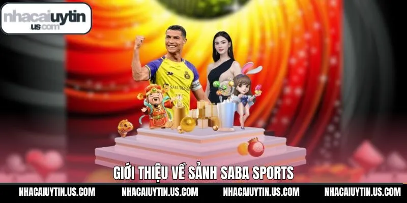 Thông tin chung về điểm cược đang được ưa chuộng