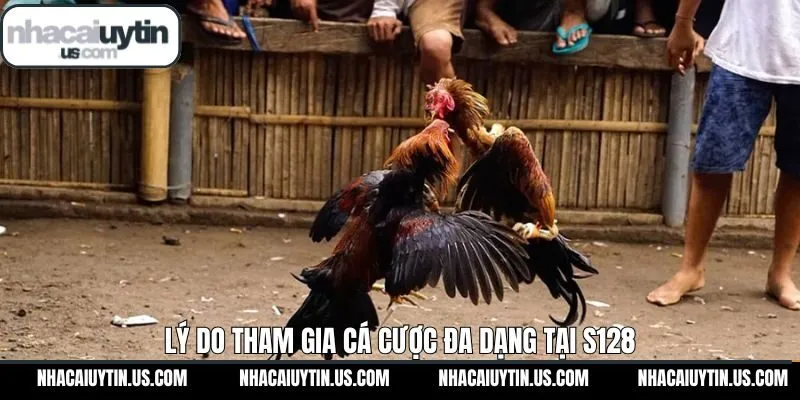 Ưu điểm thu hút khách hàng tham gia sảnh đá gà