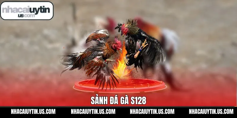 S128 - Trải Nghiệm Trường Kê Đẳng Cấp Và Uy Tín Hàng Đầu