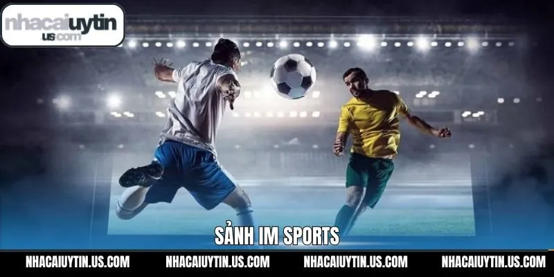 IM Sports - Trải Nghiệm Sân Chơi Thể Thao Trực Tuyến Hấp Dẫn