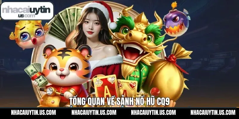 Tổng quan thông tin chung về sân chơi hấp dẫn