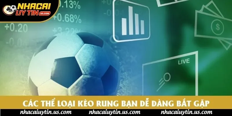 Các thể loại kèo rung bạn dễ dàng bắt gặp