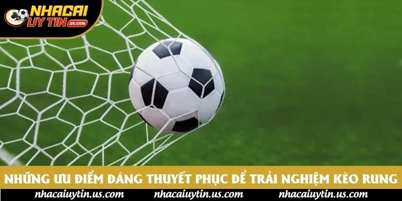 Những ưu điểm đáng thuyết phục để trải nghiệm kèo rung