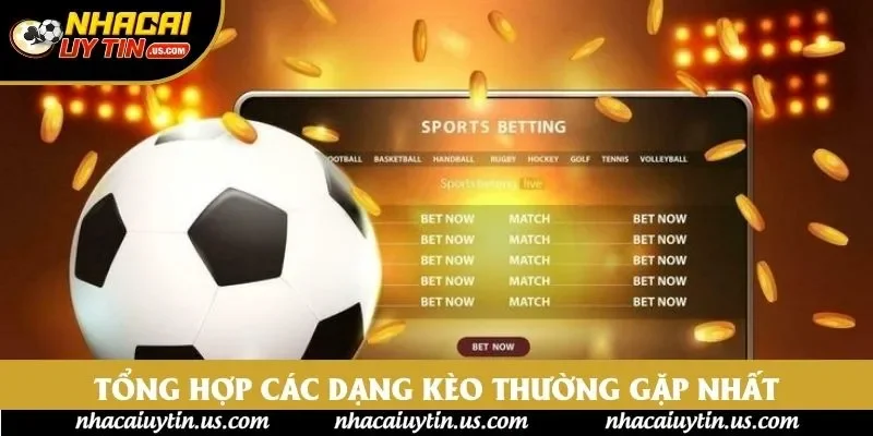 Tổng hợp các dạng kèo thường gặp nhất