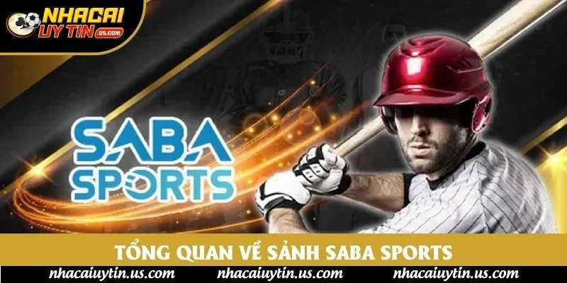 Tổng quan về sảnh Saba sports