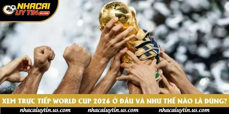 Xem Trực Tiếp World Cup 2026 Ở Đâu Và Như Thế Nào Là Đúng?